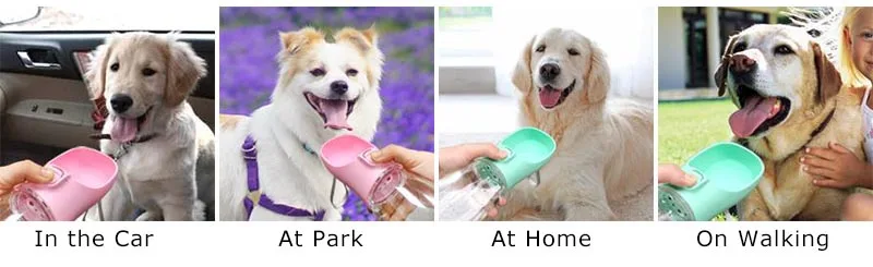 Garrafa Pet para Cães e Gatos - Imagem 14