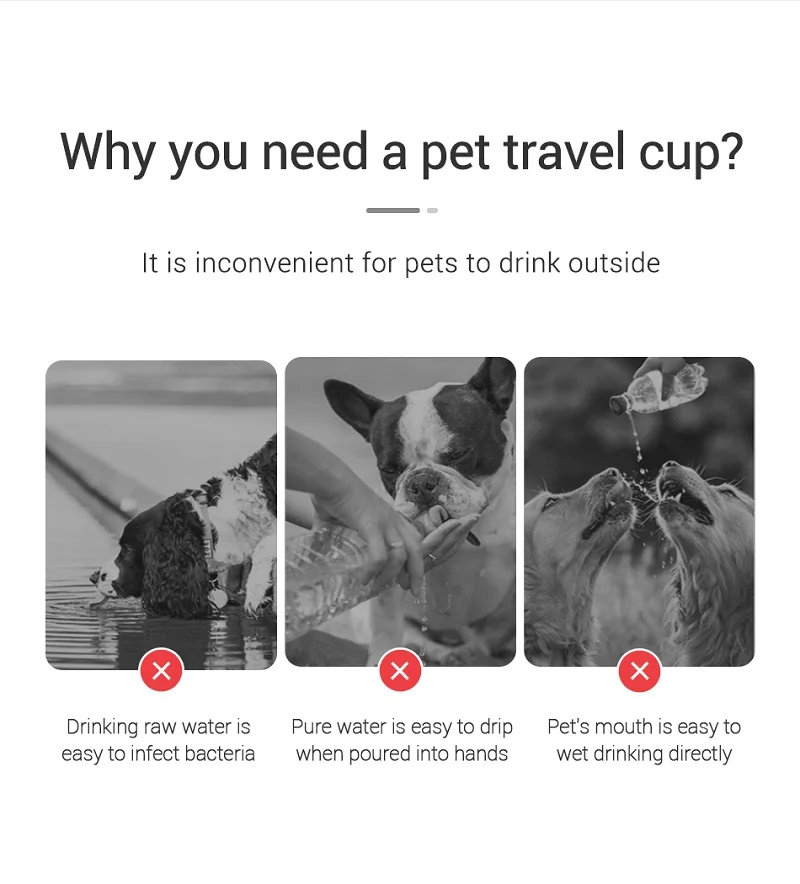 Garrafa Pet para Cães e Gatos - Imagem 13